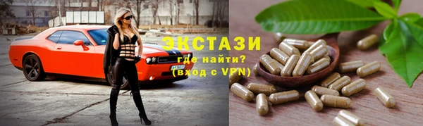 стаф Ельня