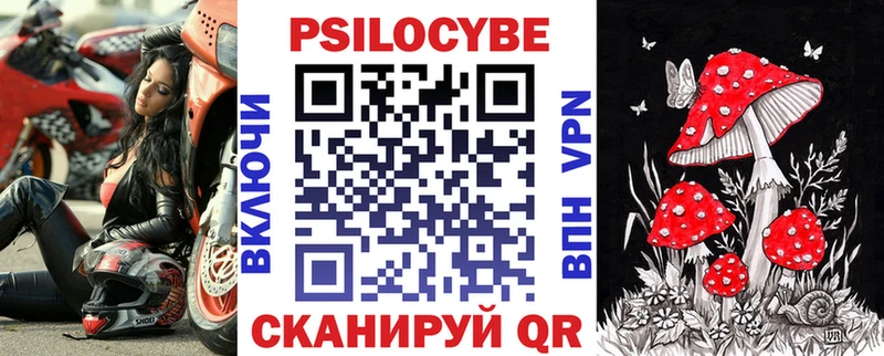 магазин    Нюрба  Галлюциногенные грибы мицелий 