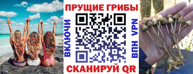 Галлюциногенные грибы MAGIC MUSHROOMS Нюрба